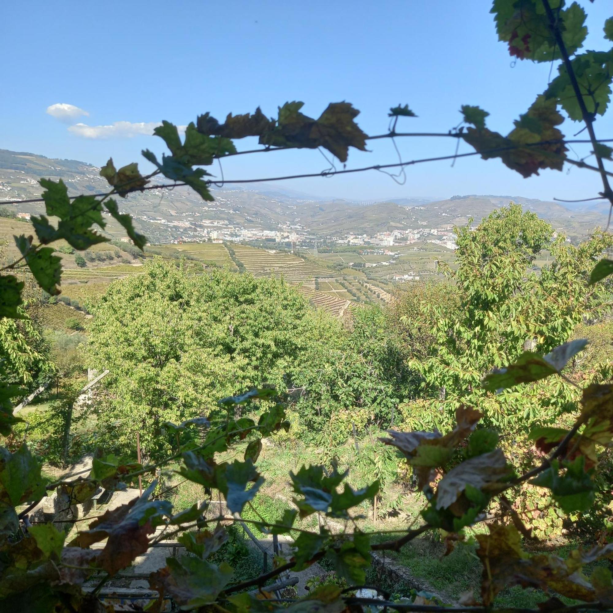 Quinta Casa Do Quintal Villa Lamego Kamer foto